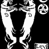 Levellers Vehicle Decal Set - Devil Fiddler, Logo, Rolling A