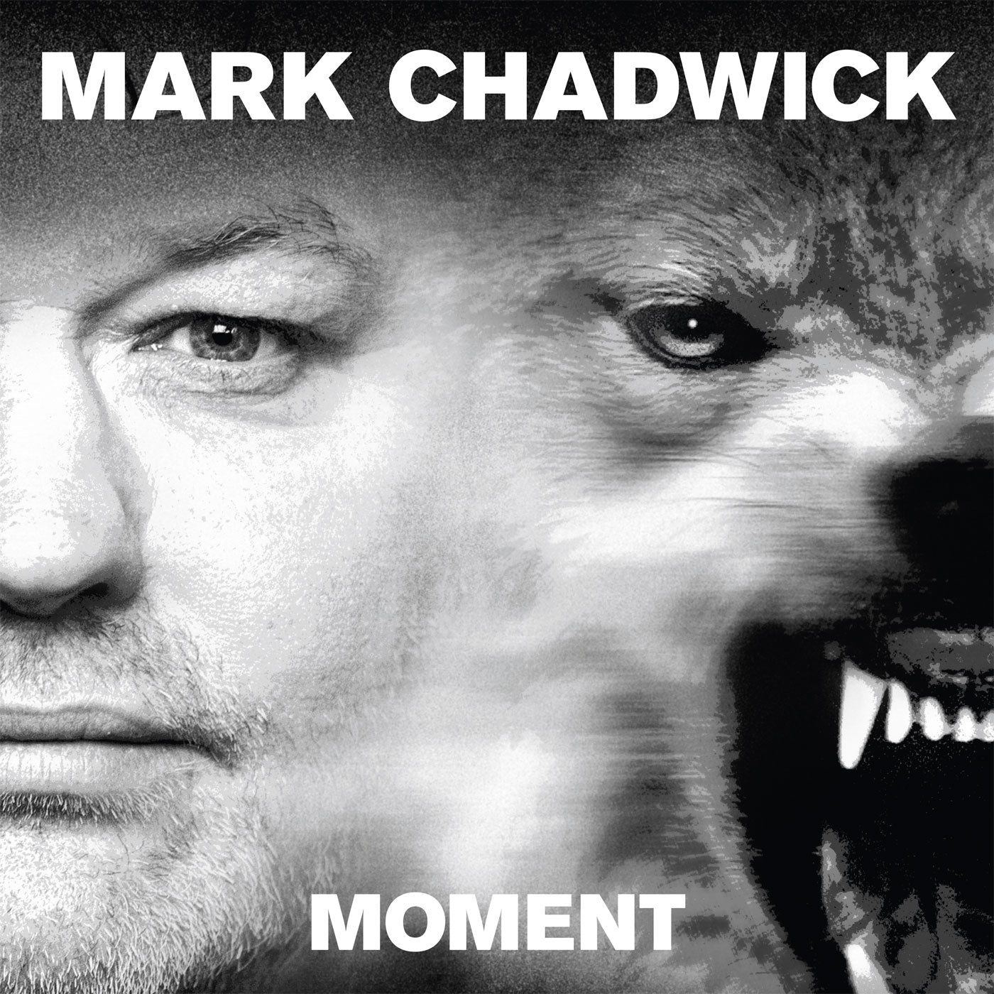 Mark Chadwick - Moment – Levellers